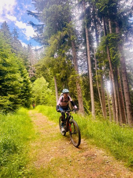 E-MTB Camp Dolomiti 2026 E-MTB-Fahrerin fährt auf einem sonnigen Waldweg zwischen hohen Bäumen beim Frauen-Camp in den Dolomiten.